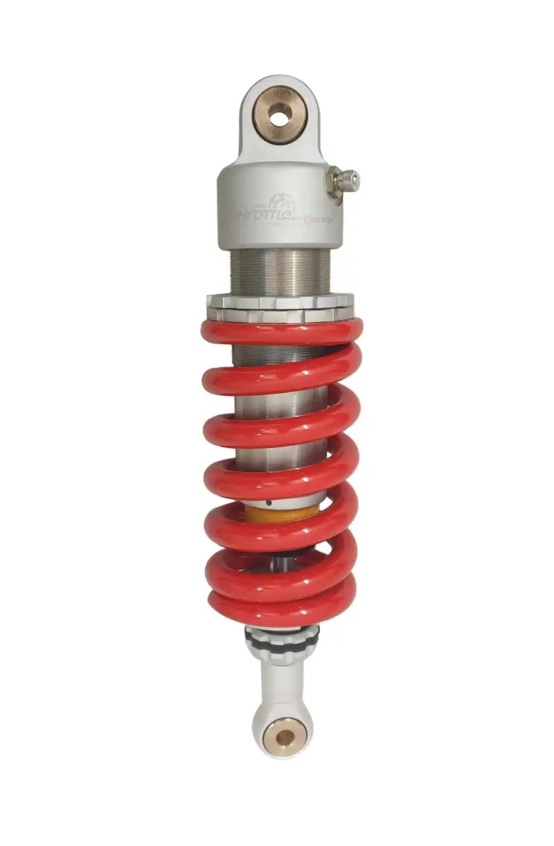 Benelli Tnt600i/ Gt600 Rear Suspension Assembly