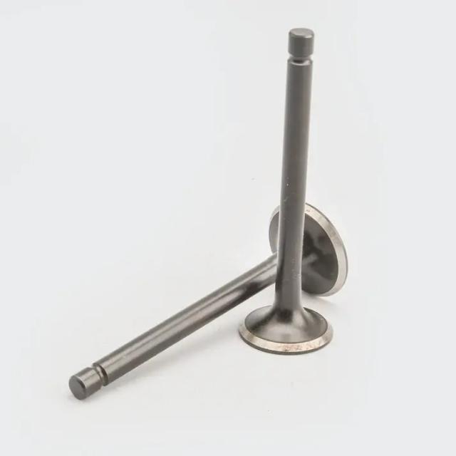 Valve Set 4s/ct100/platina/boxer/caliber