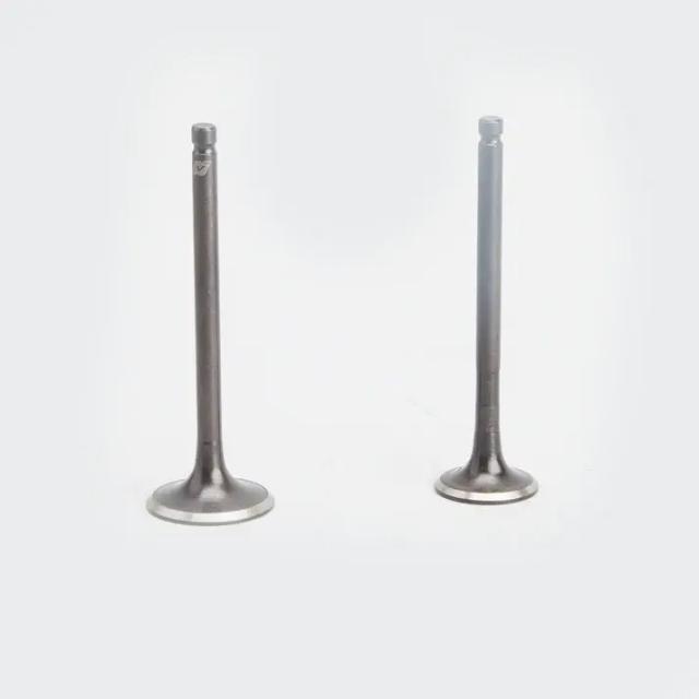 Valve Set Activa 110