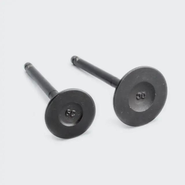 Valve Set Activa/dio/pleasure/maestro/duet