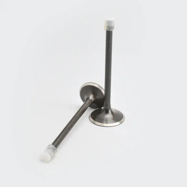 Valve Set Cbz/karizma