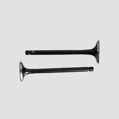 Valve Set Ct100 Es