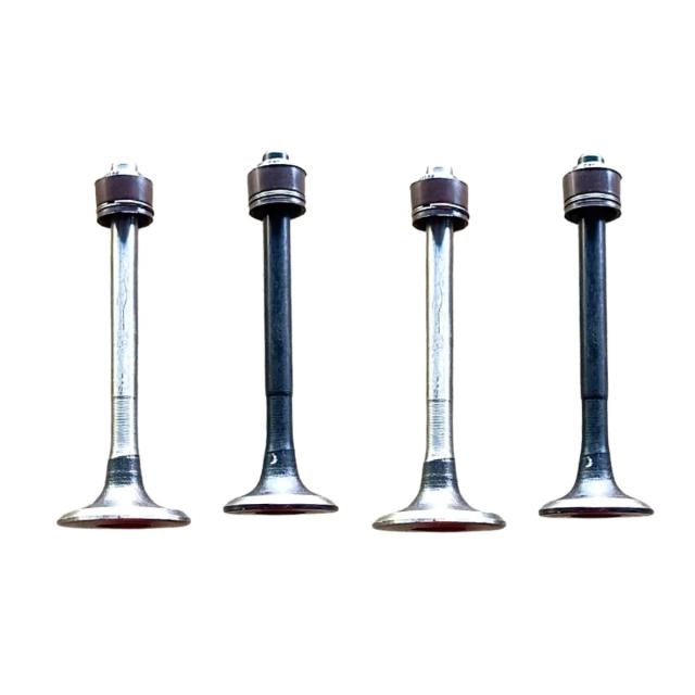 Valve Set-bajaj Discover 100 T