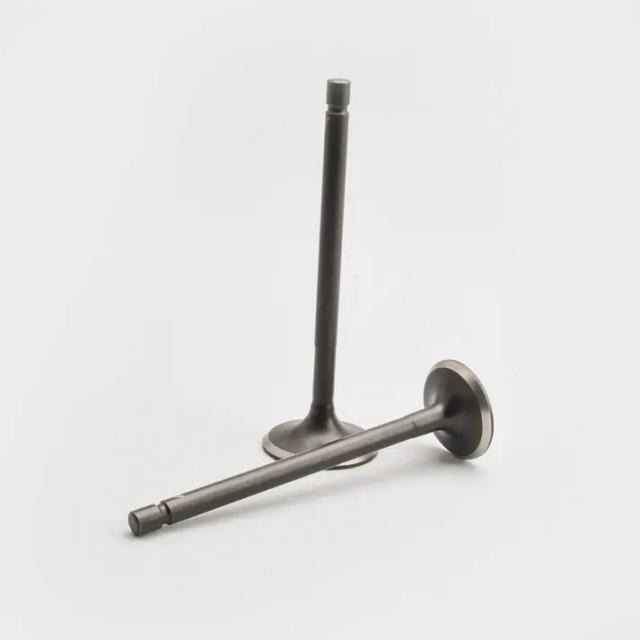Valve Set Fiero/fiero F2/fiero Fx/apache/wego/jupiter