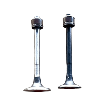 Valve Set Geniune Centuro