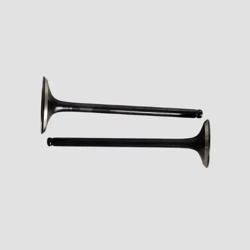 Valve Set Hornet