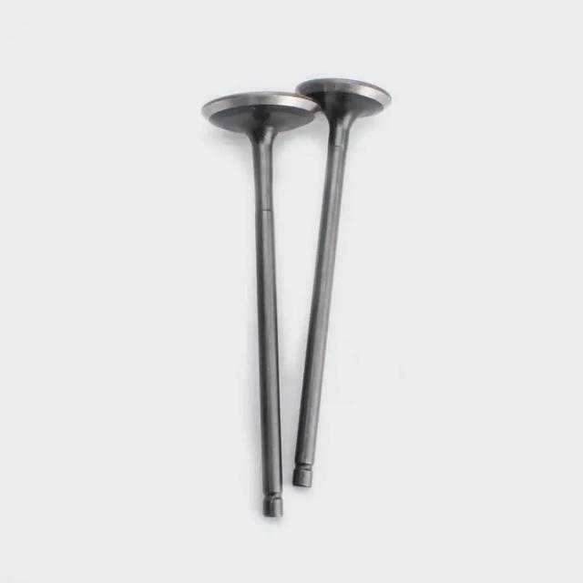 Valve Set Pulsar 150 Dtsi/discover 135/discover 125