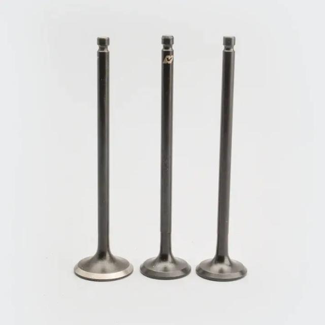 Valve Set [s.o.3] Victor 110