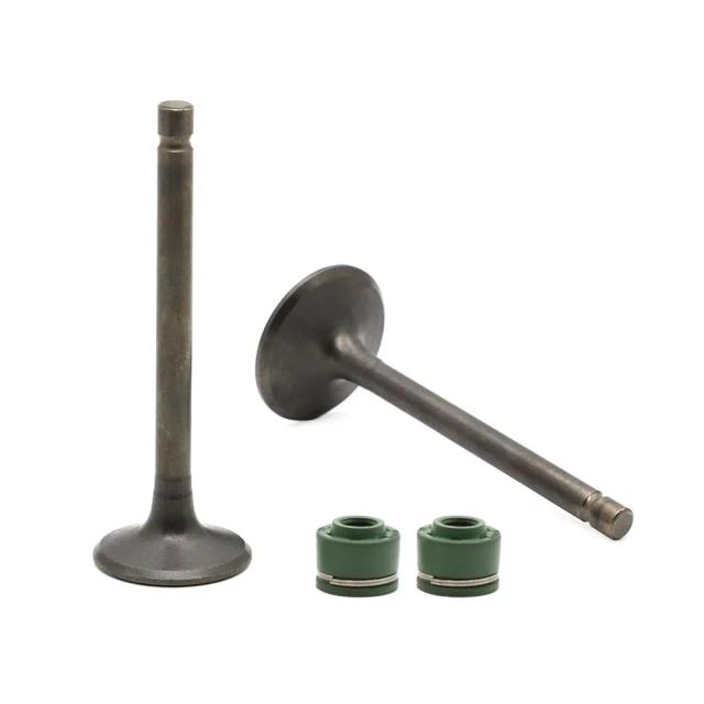 Valve Set-yamaha Ybx