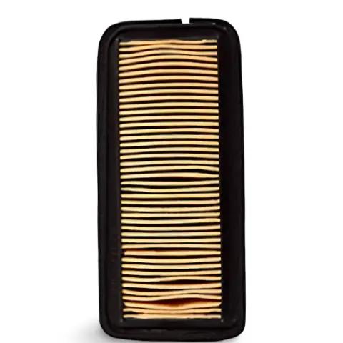 Yamaha Fz-v2 Air Filter Assembly