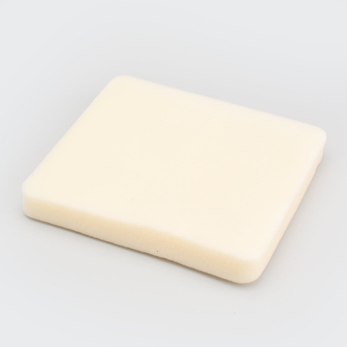 Air Filter Caliber/4s/boxer/ct100