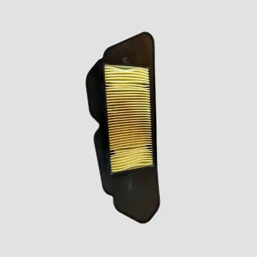 Air Filter [paper] Jupiter Bs6