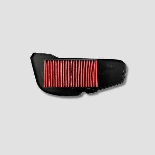 Air Filter [paper] Ray Bs6