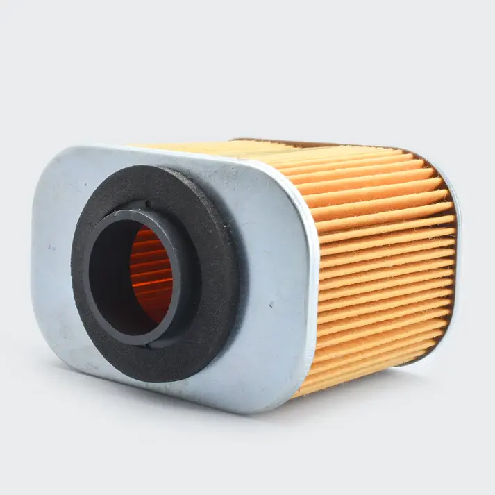 Air Filter [paper] Star City Plus/phoenix