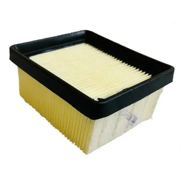 Apache Rr 310/bmw 310 Gs Air Filter (stock) | Tvs | Bmw