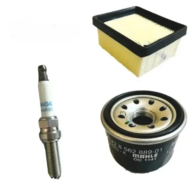 Apache Rr 310 / Bmw 310 R/gs Service Kit (combo)