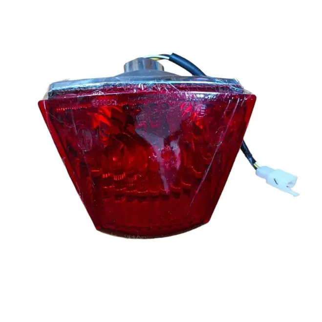 Aprilia Tail Light Assembly
