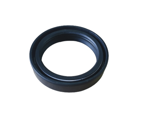 Benelli Tnt300 2017 Onwards Front Fork Oil Seal