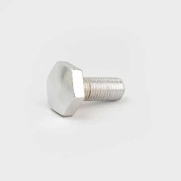 Bolt Fork Tube (c.p) Hh