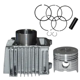 Bore Kit Geniune Tvs Victor