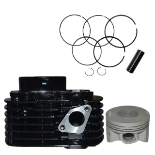 Bore Kit Genuine Fz S