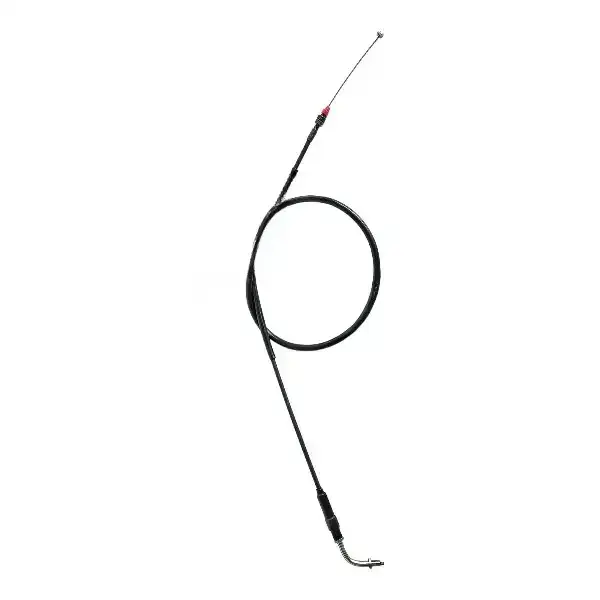 Cable Acc For Xl100 Bs6