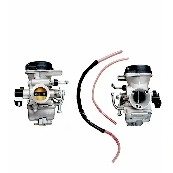 Carb Assy For Fz Old