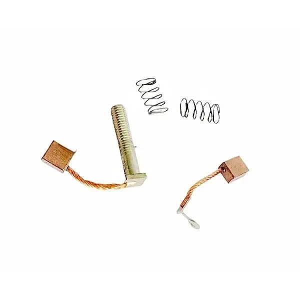 Carbon Brush Kit For Glamour Bs6/rtr 4v