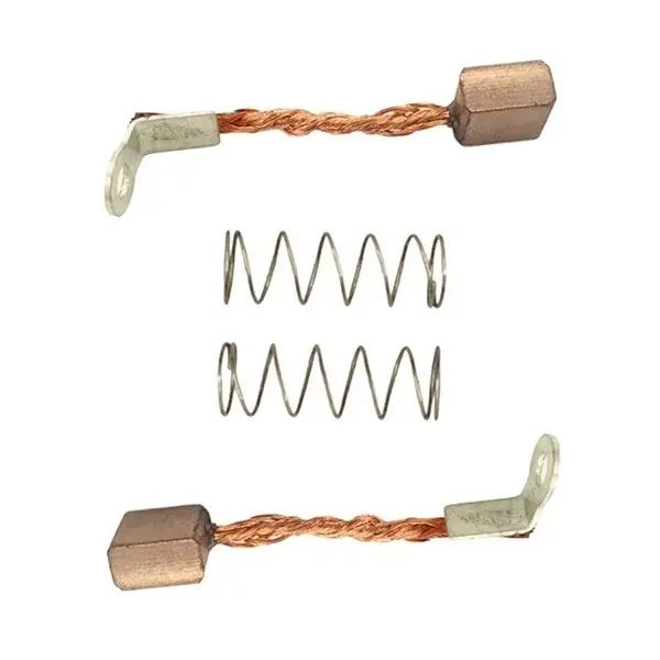 Carbon Brush Kit For Shine Bs6/100