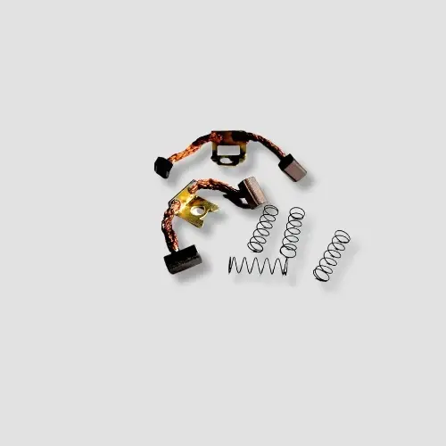 Carbon Brush Set Karizma Zmr