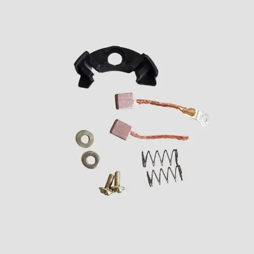 Carbon Brush Set (w/plate) Activa 5g/splendor Pro Bs6