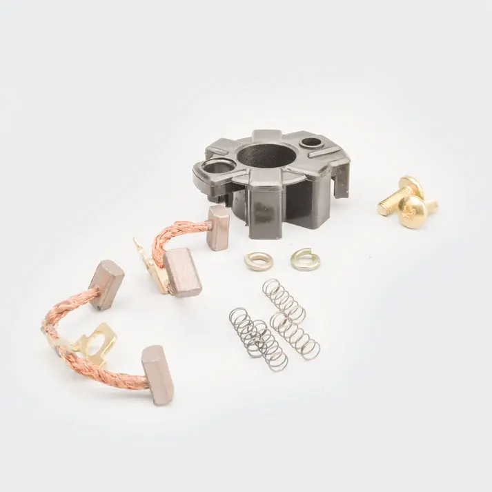 Carbon Brush Set (w/plate) Karizma Zmr