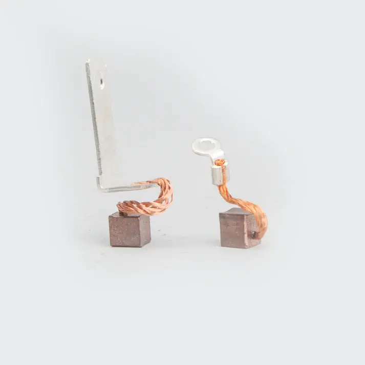 Carbon Brush Set Wego