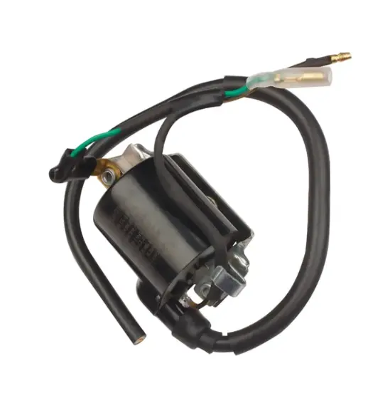 Coil Assembly Ignition 30500k0va01 Honda Shine Bs6 (oem),