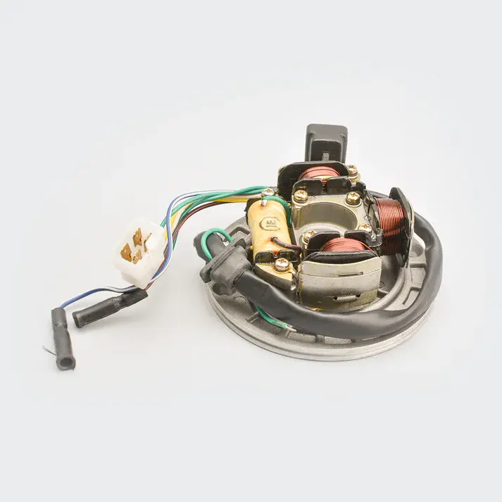 Coil Plate Assy (l.t.coil S.o.3) (4hole) Splendor/passion