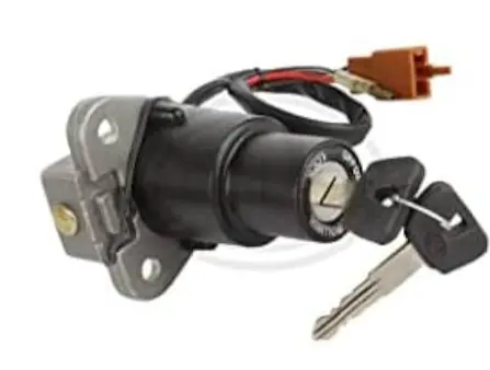 Cord Set Switch 1 K4160320 Tvs Zest 110 (oem),