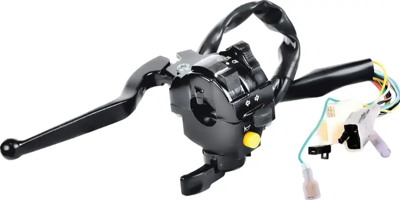 Drl Control Unit P6160130 Tvs Xl 100 100 (oem),