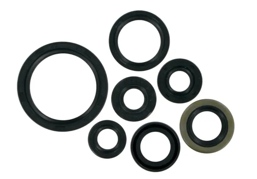 Engine Oil Seal Kit – 2s Mcy 1324910 Tvs Max100r 100 (oem),