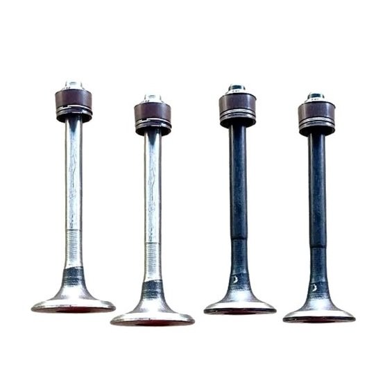 Engine Valve Tvs Apache Rtr 160 4 Valve, Rtr 180 4 Valve, Rtr 200 4 Valve Set Of 4 With Oil Seal (evtar4v)