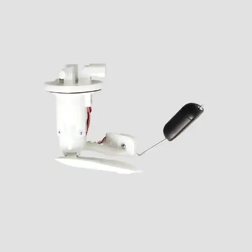 Fuel Pump Assy Access Bs6