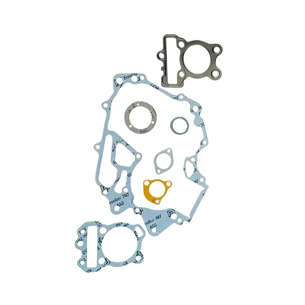 Gasket Kit For Ct 100bs4/platina110