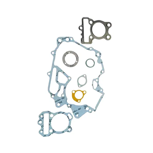 Gasket Kit For Ct 100bs4/platina110