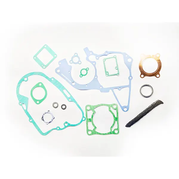 Gasket Kit For Rx100