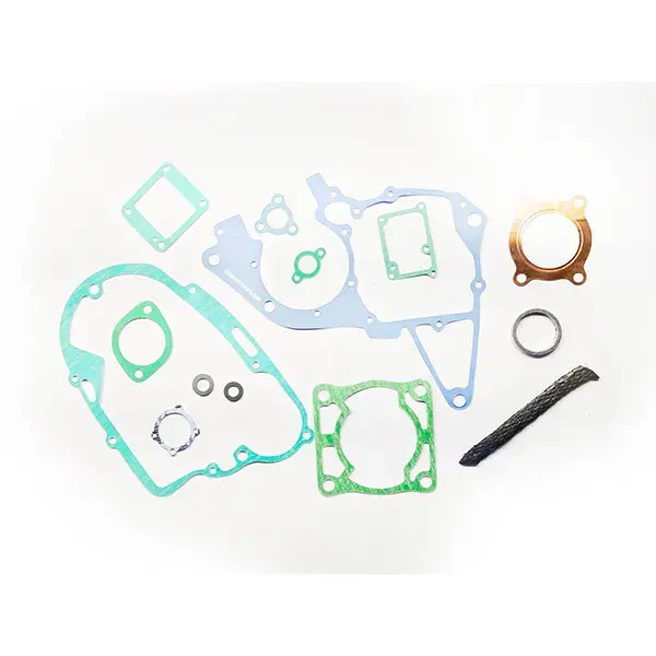Gasket Kit For Rx100