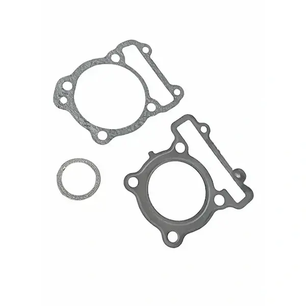 Gasket Kit(half) For Fz