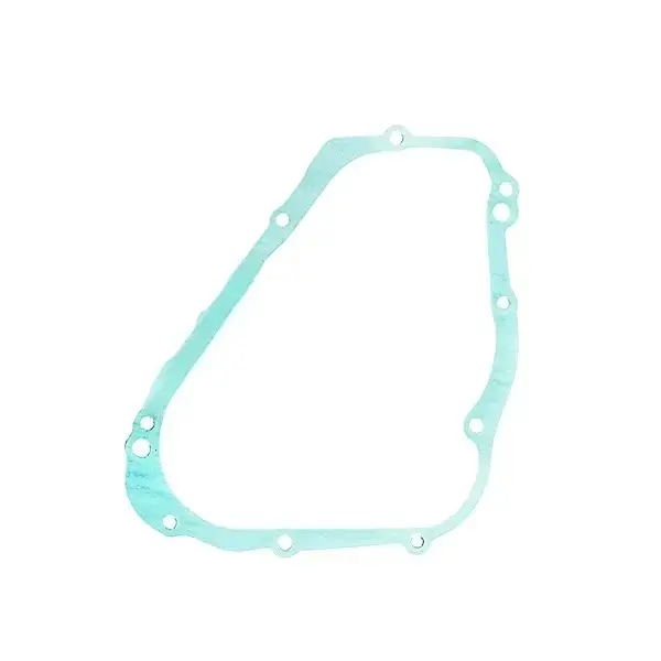 Gasket Magnet For Access
