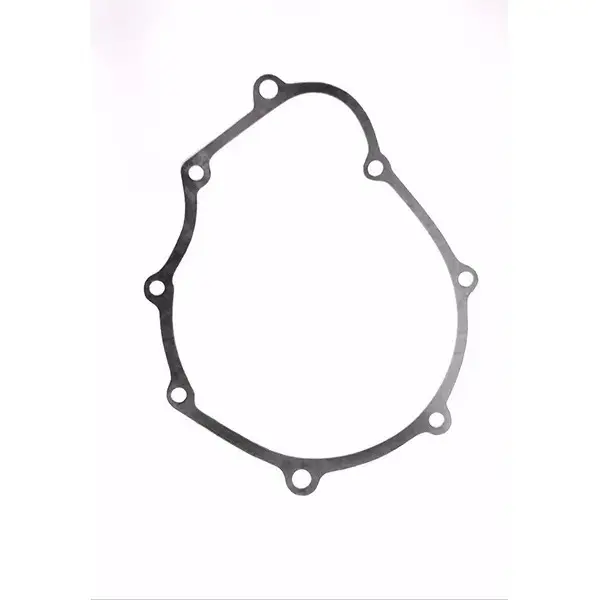Gasket Magnet For Discover 100