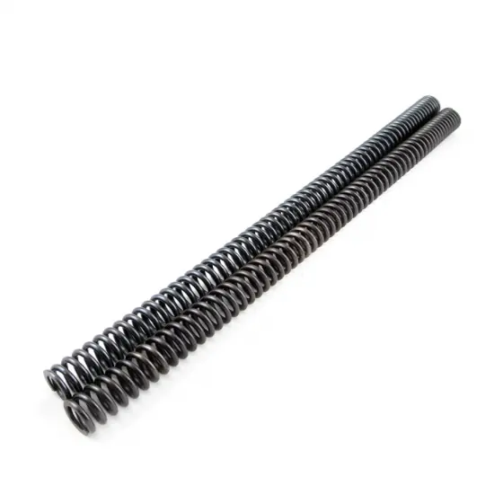 Himalayan 411 Fork Spring Set
