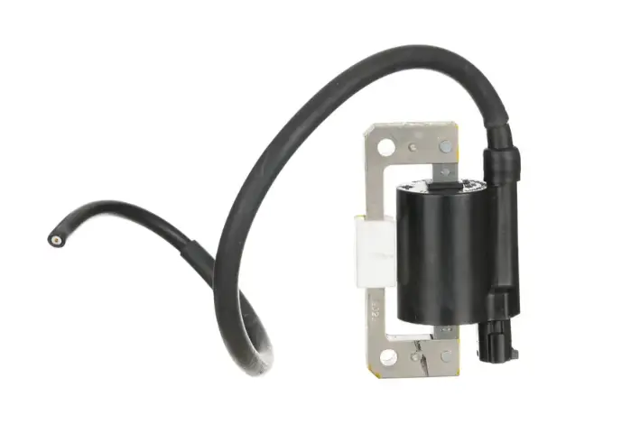 Ignition Coil Assembly Bsvi Nf060370 Tvs Apache Rtr 4v 160 (oem),