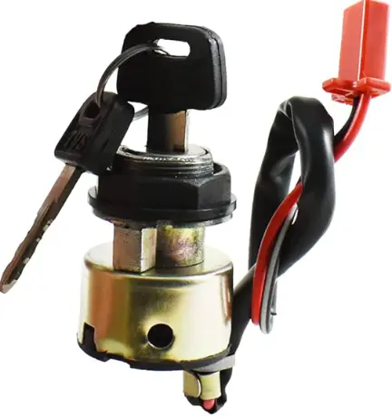 Ignition Lock P7160050 Tvs Xl 100 100 (oem),